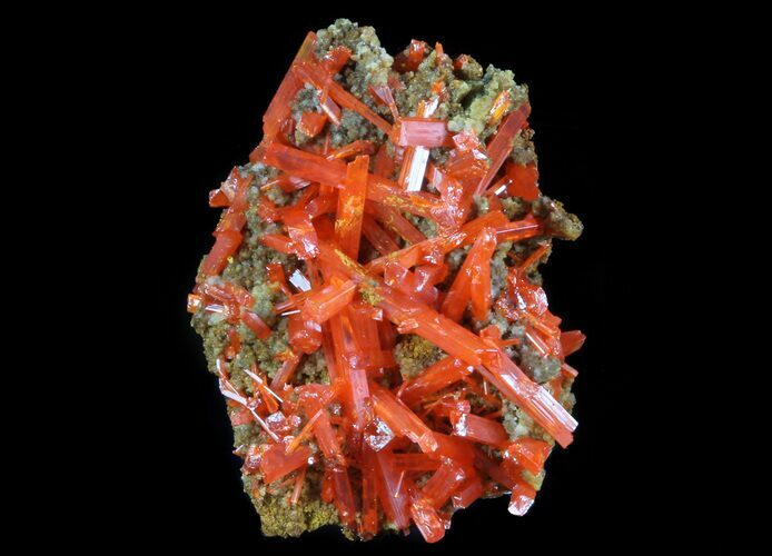 Bright Orange Crocoite Crystals - Tasmania #64339